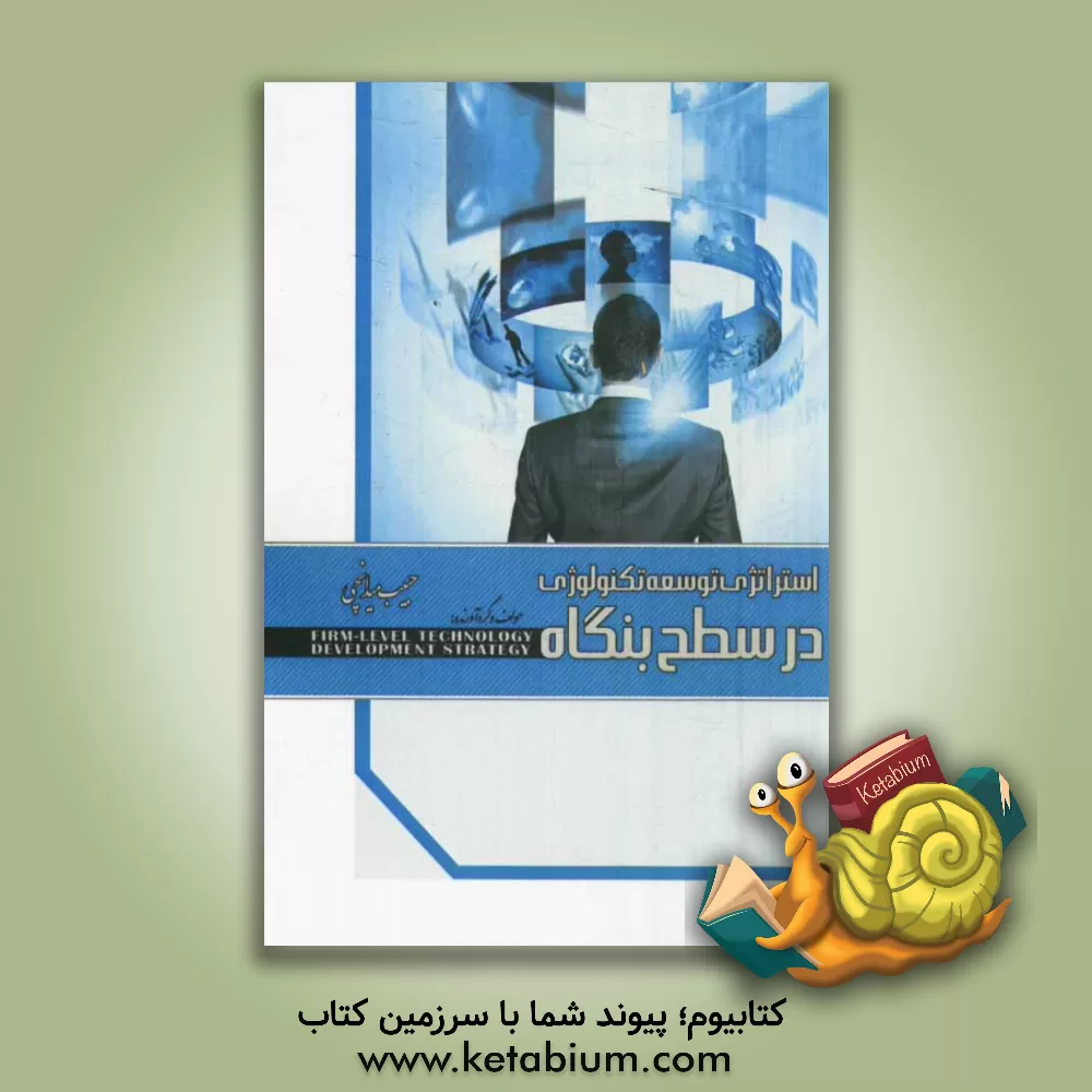 کتاب استراتژی توسعه تکنولوژی در سطح بنگاه اثر حبیب میدانچی