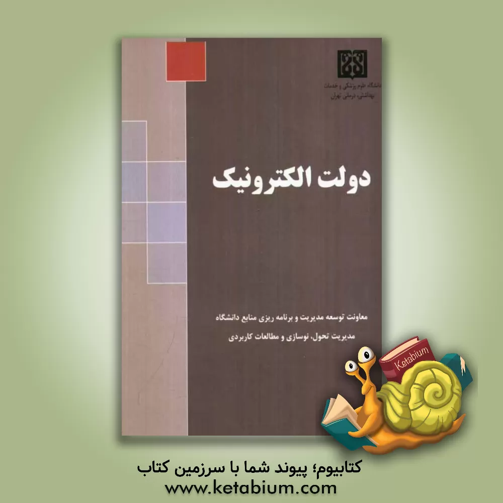 کتاب دولت الکترونیک اثر محمود بیگلر