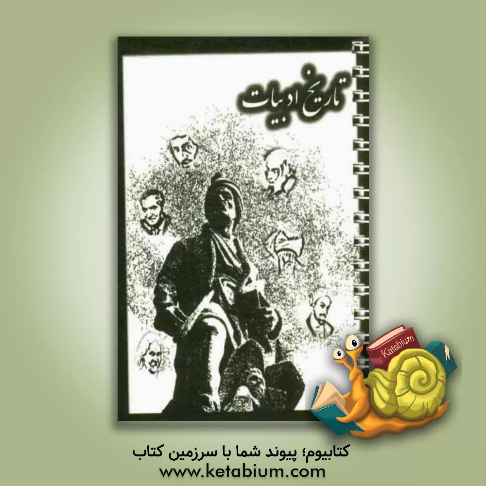 کتاب تاریخ ادبیات اثر امیرمحمد گودرزی