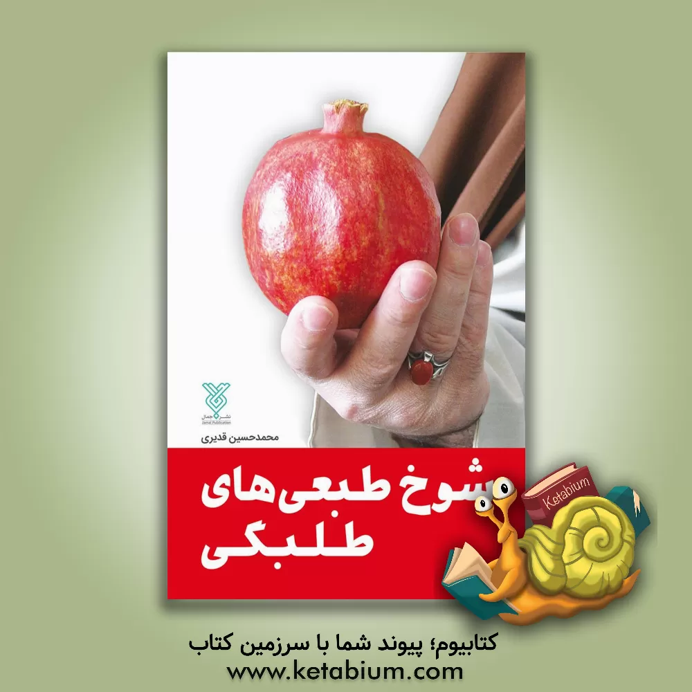 کتاب شوخ طبعی های طلبگی اثر محمدحسین قدیری