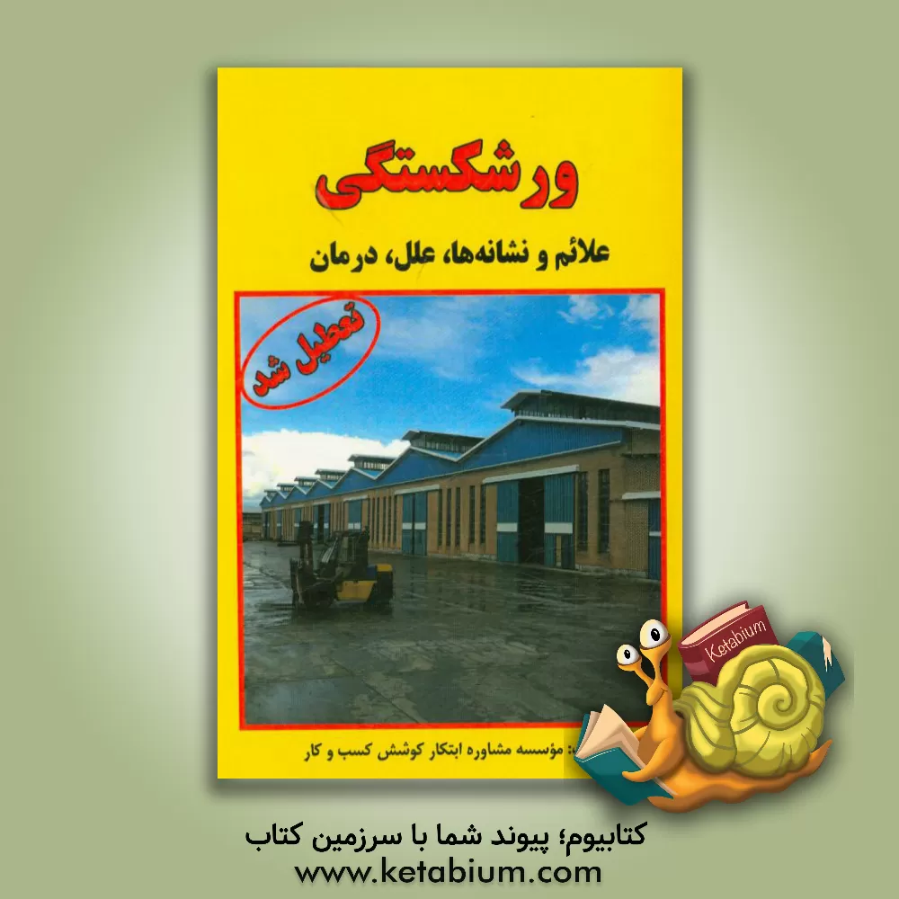 کتاب ورشکستگی: علائم و نشانه ها، علل، درمان اثر موسسه مشاوره ابتکار کوشش کسب و کار