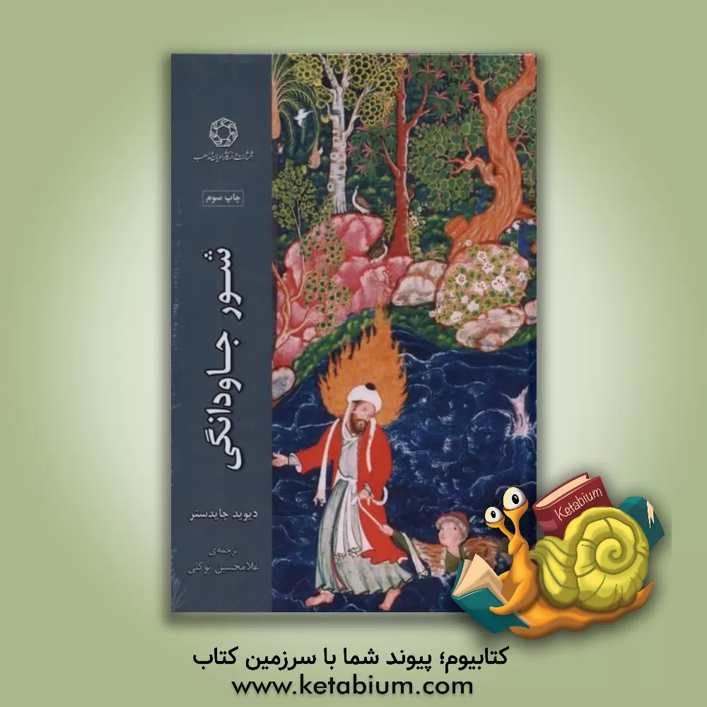 کتاب شور جاودانگی اثر دیوید چایدستر