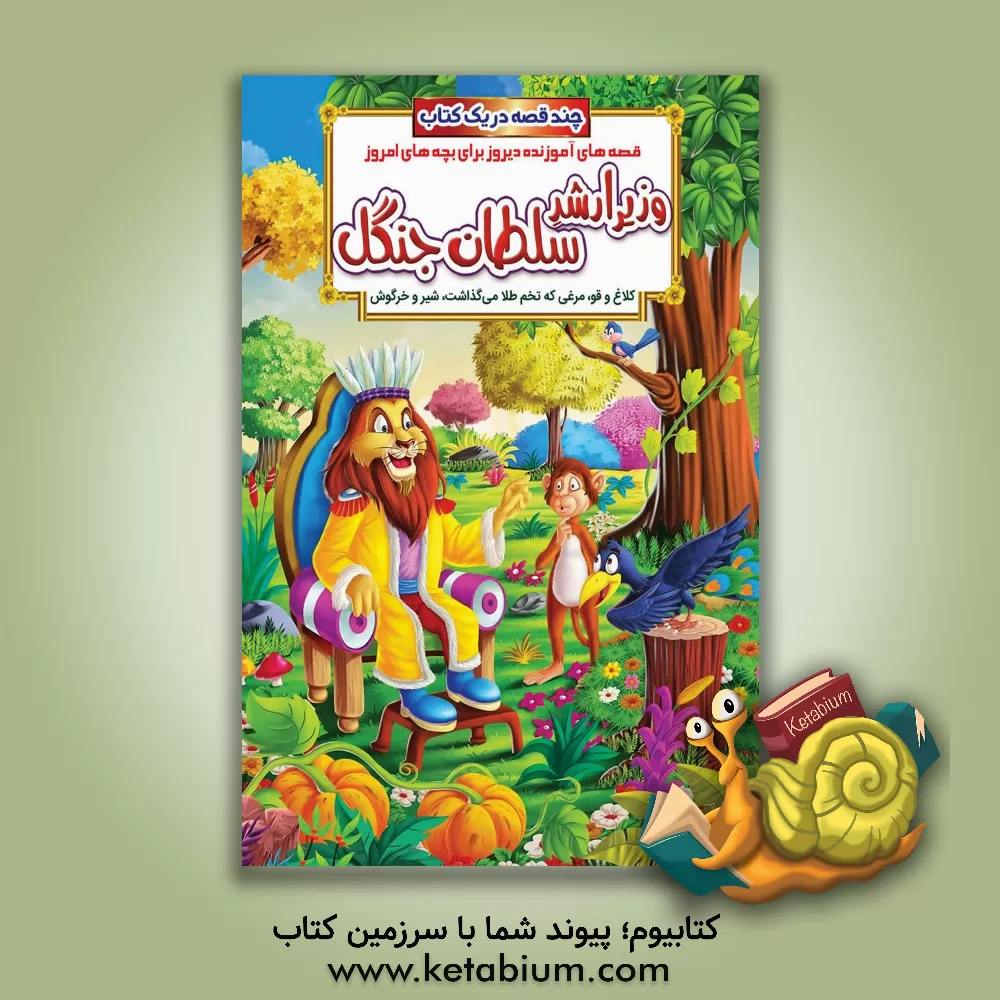 کتاب وزیر ارشد سلطان جنگل و داستان های دیگر اثر حسین حبیبی