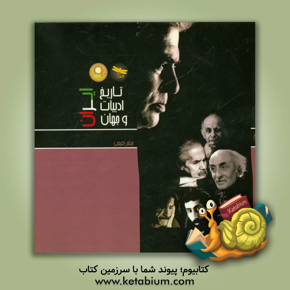 کتاب تاریخ ادبیات ایران و جهان اثر میثم رفیعی