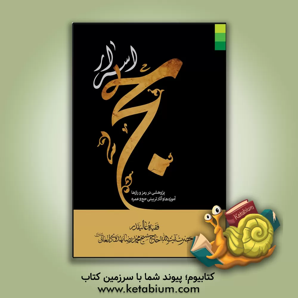 کتاب اسرار حج: پژوهشی در رمز و رازها، آموزه ها و آثار تربیتی حج و عمره اثر محمدرضا مهدوی‌دامغانی