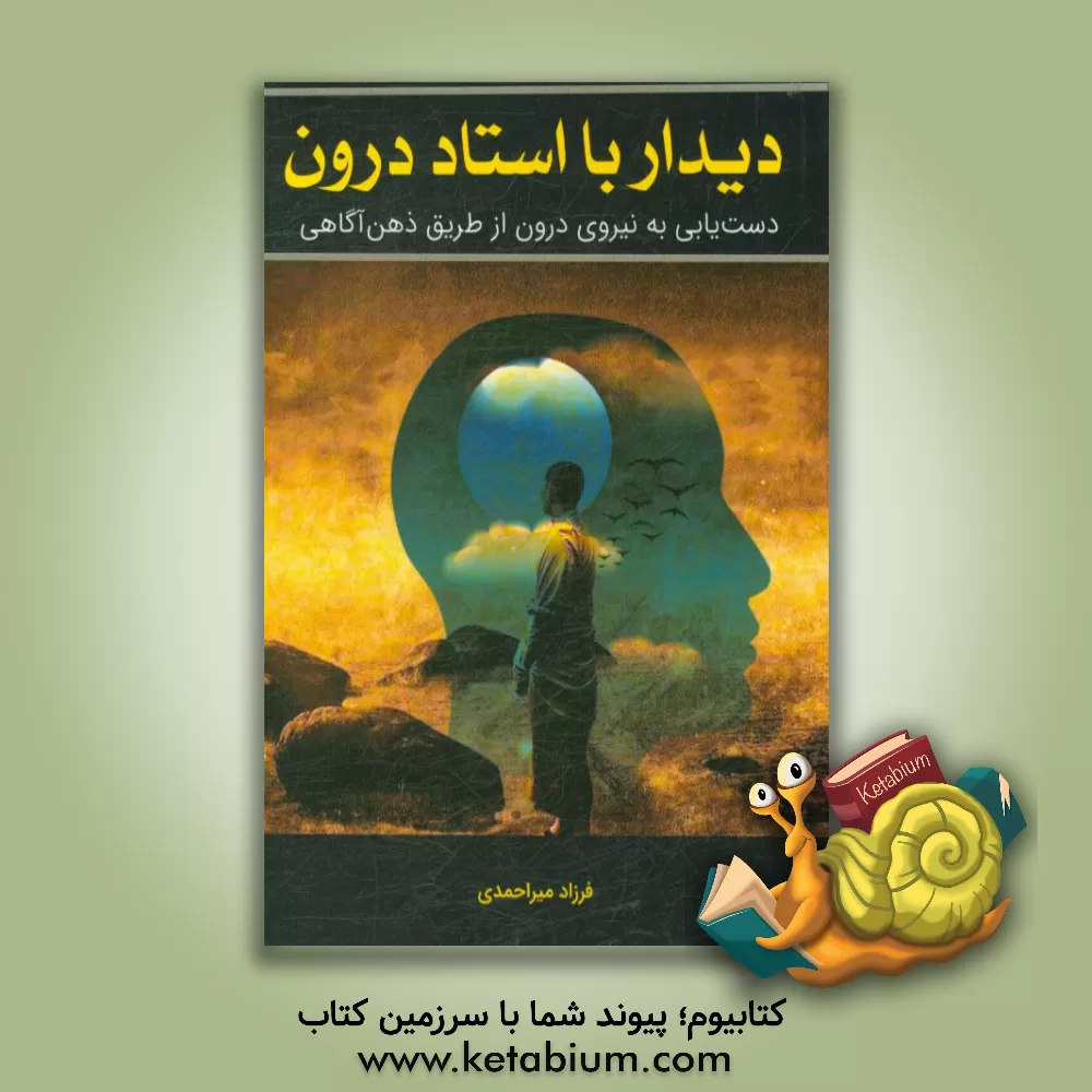 کتاب دیدار با استاد درون اثر فرزاد میراحمدی