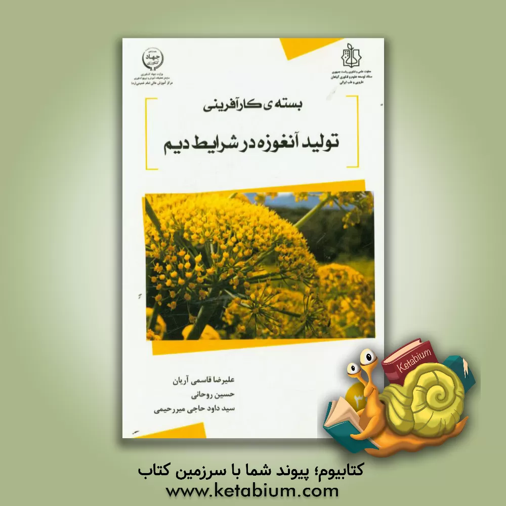 کتاب بسته کارآفرینی تولید آنغوزه در شرایط دیم اثر حسین روحانی