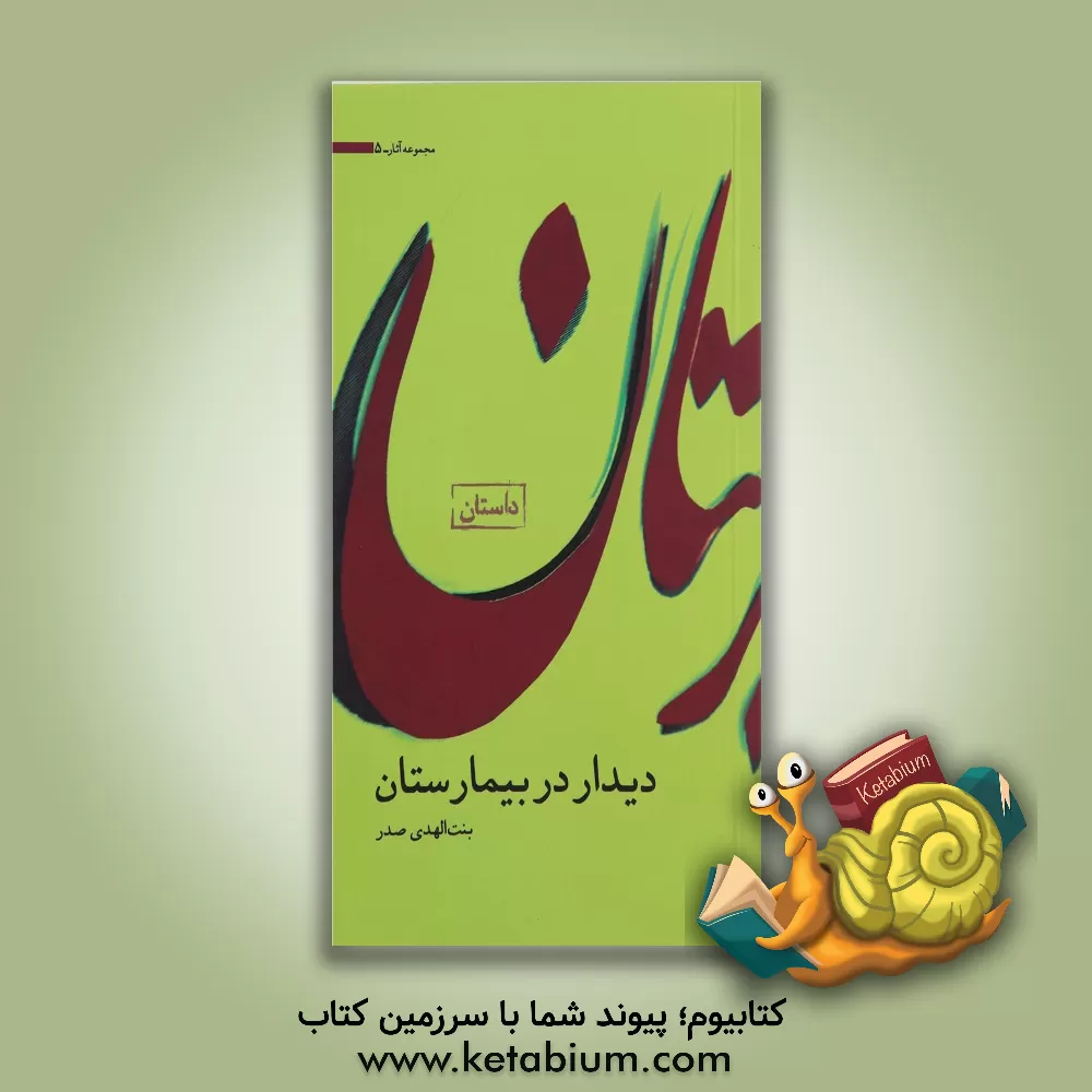 کتاب دیدار در بیمارستان اثر بنت‌الهدی صدر