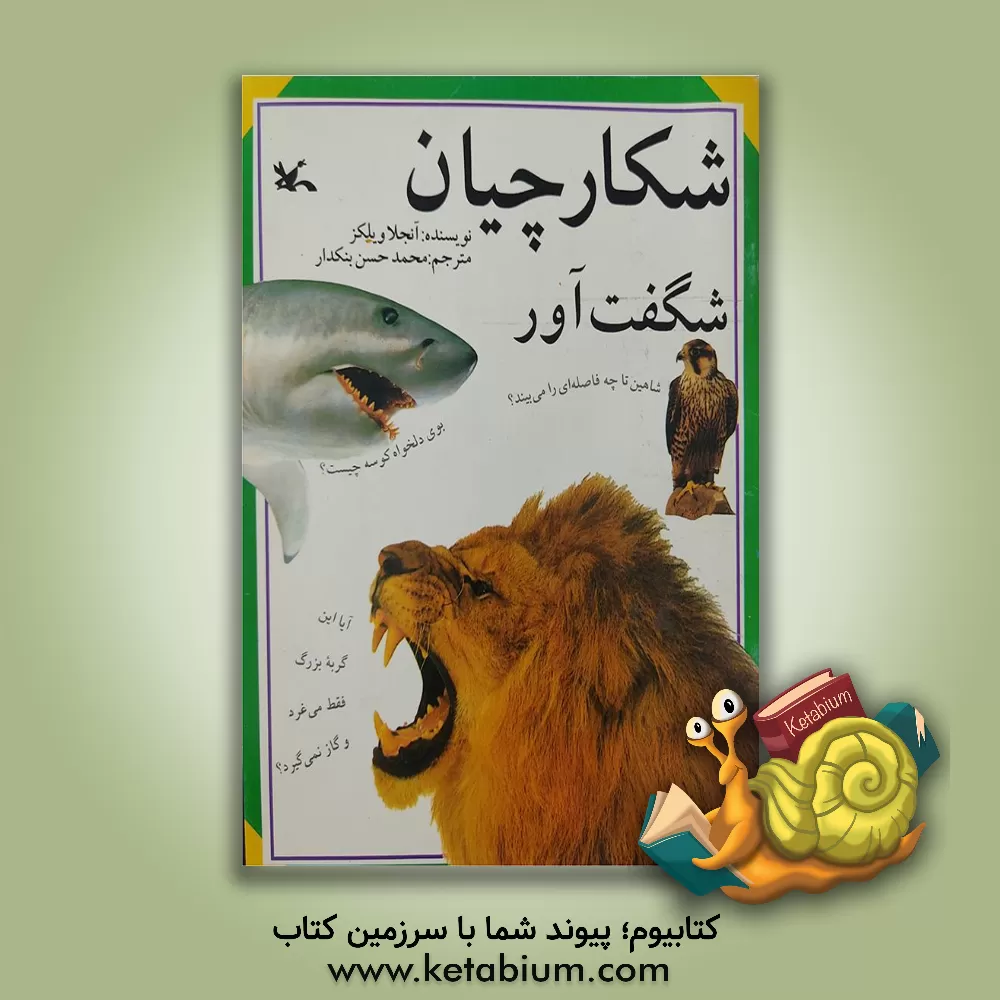 کتاب شکارچیان شگفت آور اثر آنجلا ویلکز