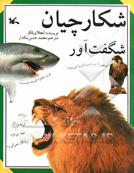 کتاب شکارچیان شگفت آور |اثر آنجلا ویلکز