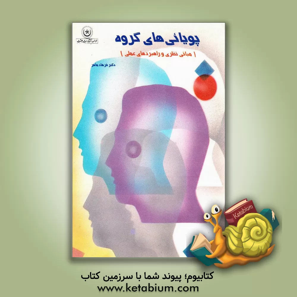 کتاب دیدگاه پیاژه در گستره تحول روانی: مراحل فرآیندهای شناختی، آزمونهای تشخیص عملیاتی از کودکی تا ... اثر محمد منصور