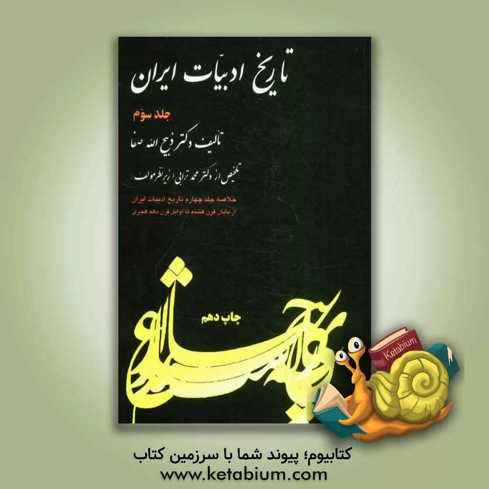 کتاب تاریخ ادبیات ایران: خلاصه جلد چهارم تاریخ ادبیات در ایران از پایان قرن هشتم تا اوایل قرن دهم هجری |اثر ذبیح الله صفا