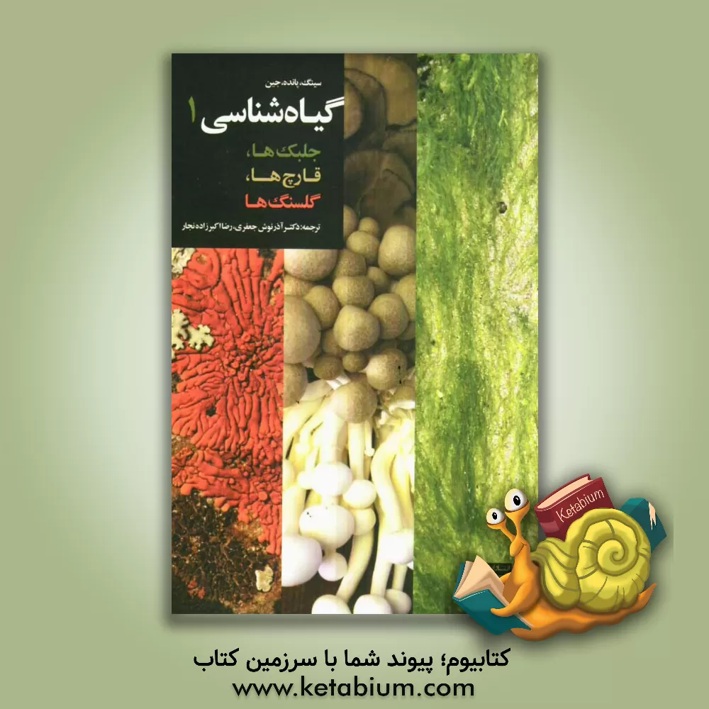 کتاب گیاه شناسی 1: جلبک ها، قارچ ها، گلسنگ ها اثر سینگ