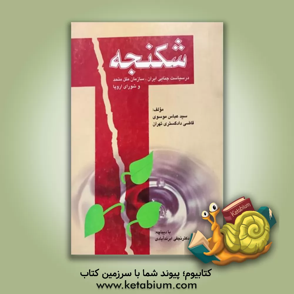 کتاب شکنجه: در سیاست جنایی ایران، سازمان ملل متحد و شورای اروپا اثر سیدعباس موسوی