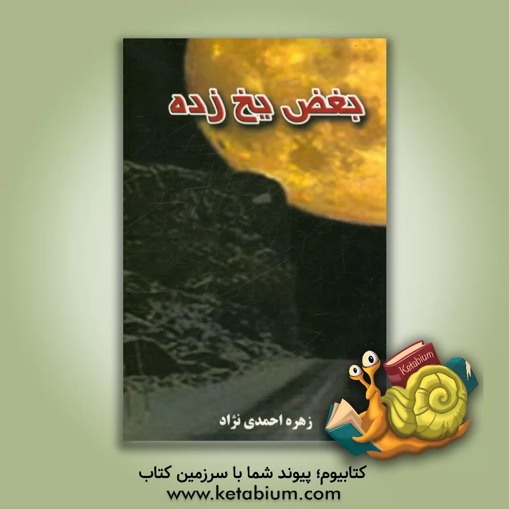 کتاب بغض یخ زده اثر زهره احمدی‌نژاد