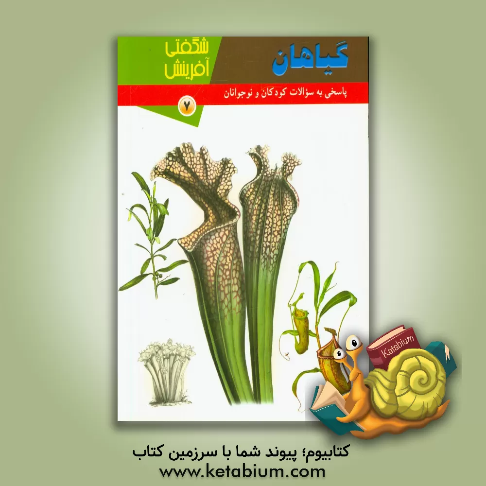 کتاب گیاهان اثر مبینا احمدی