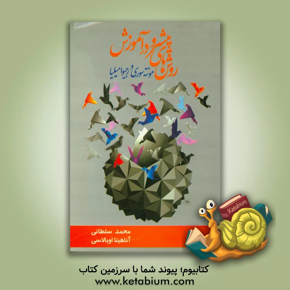 کتاب روش های پیشرو در آموزش مونته   سوری و رجیو امیلیا اثر محمد سلطانی