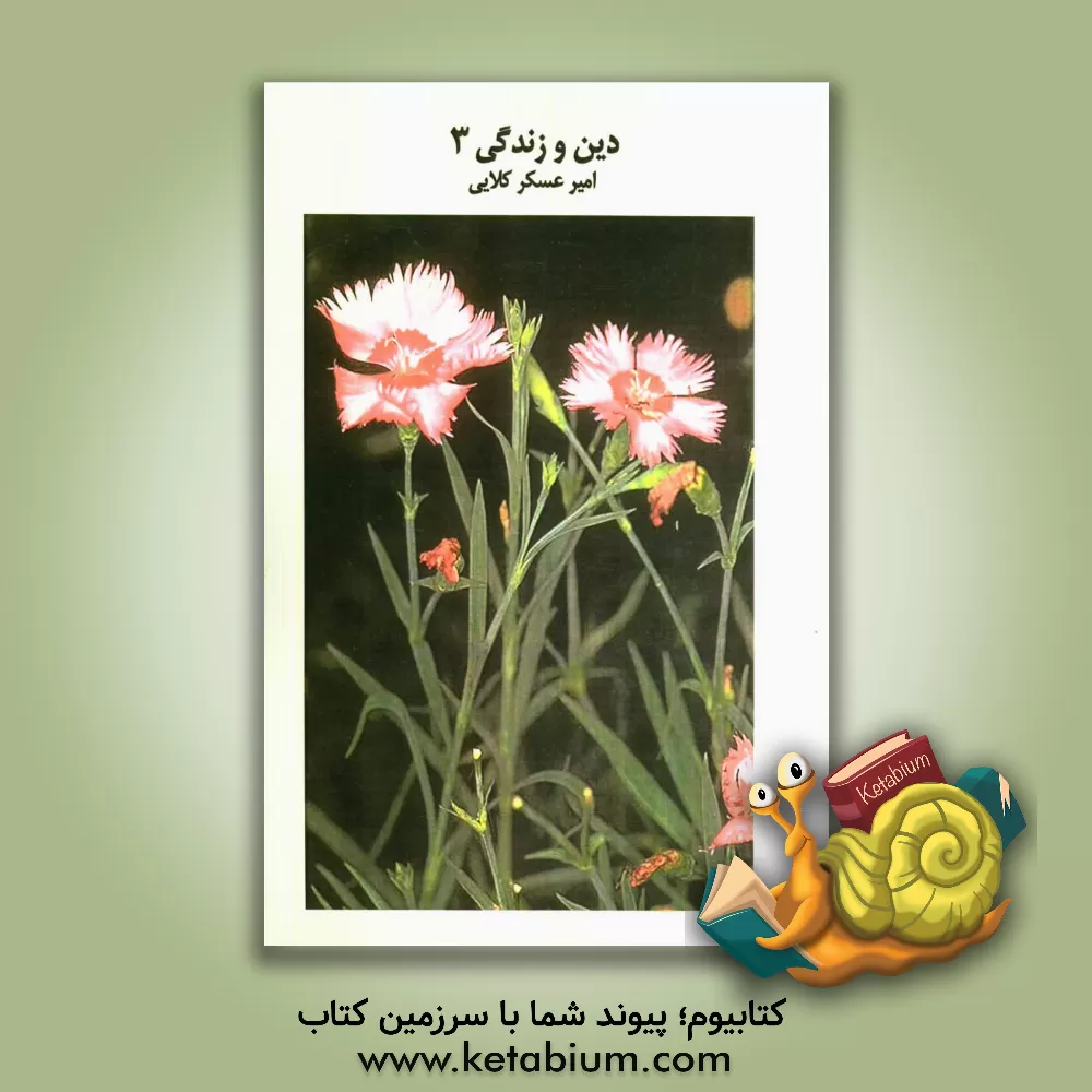 کتاب دین و زندگی 3: بررسی و طبقه بندی سوالات چهارگزینه ای دین وزندگی سال سوم دبیرستان با پاسخ نامه کاملا تشریحی اثر عسگر امیرکلایی