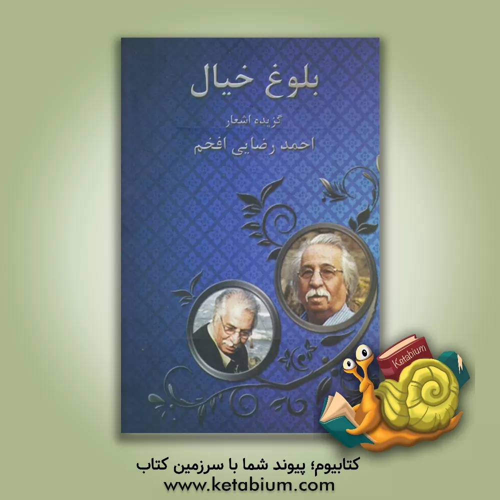 کتاب بلوغ خیال: گزیده اشعار اثر احمد رضایی‌افخم