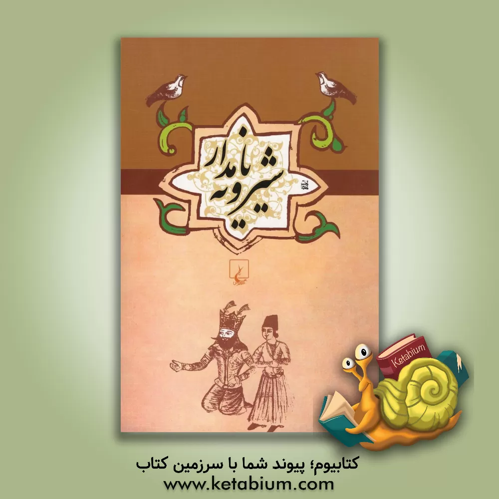 کتاب شیرویه نامدار |اثر علیرضا سیف الدینی