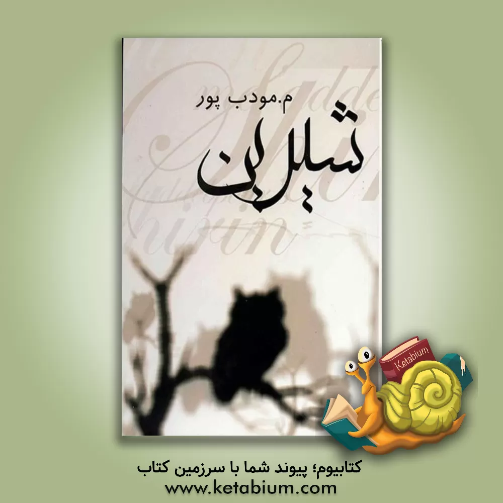 کتاب شیرین اثر مرتضی مودب‌پور