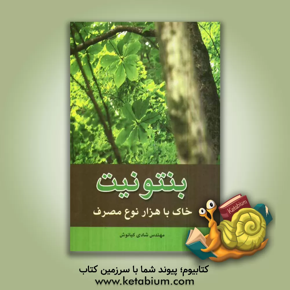 کتاب بنتونیت: خاک با هزار نوع مصرف اثر شادی کیانوش