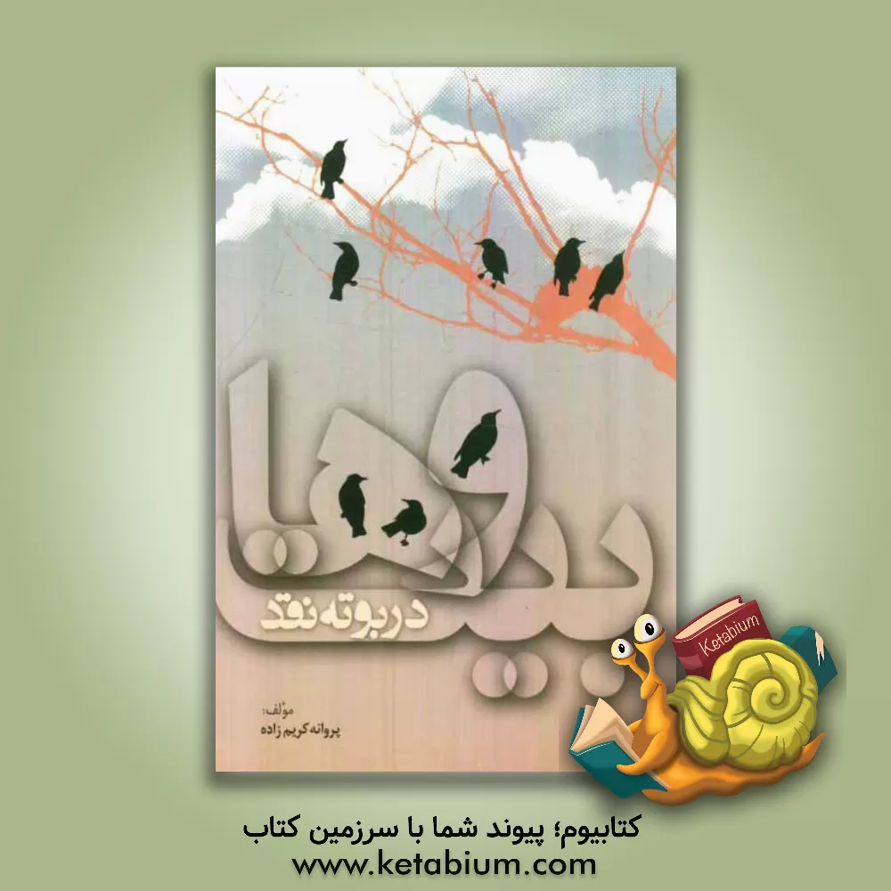 کتاب وهابیت در بوته نقد اثر پروانه کریم‌زاده