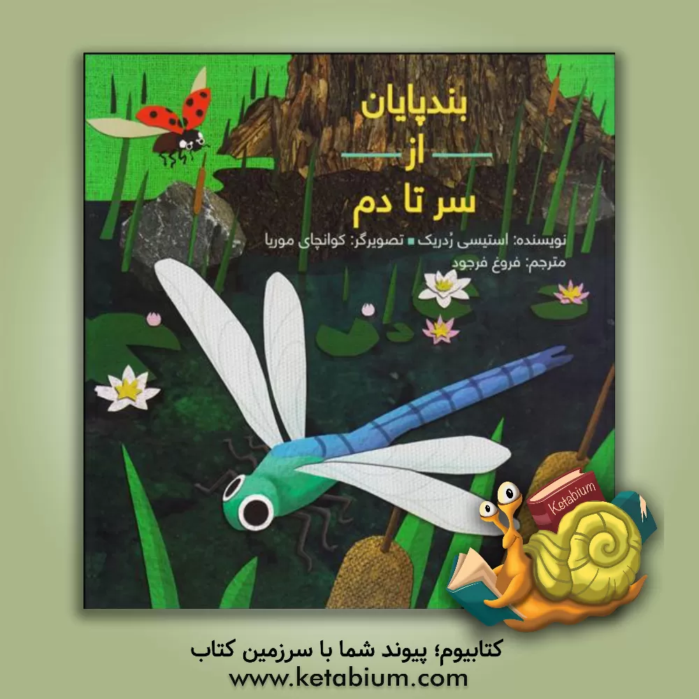 کتاب بندپایان از سر تا دم اثر استیسی ردریک