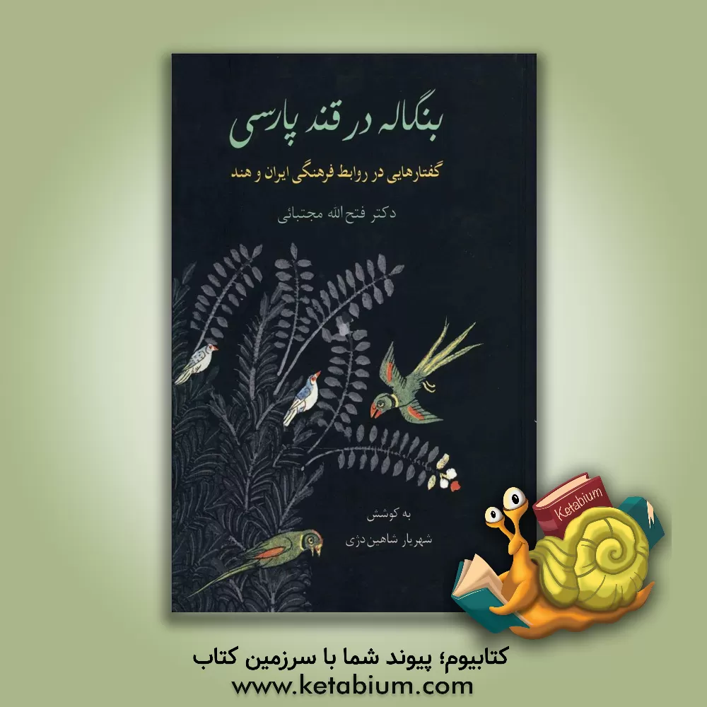 کتاب بنگاله در قند پارسی: گفتارهایی در روابط فرهنگی ایران و هند اثر فتح‌الله مجتبائی