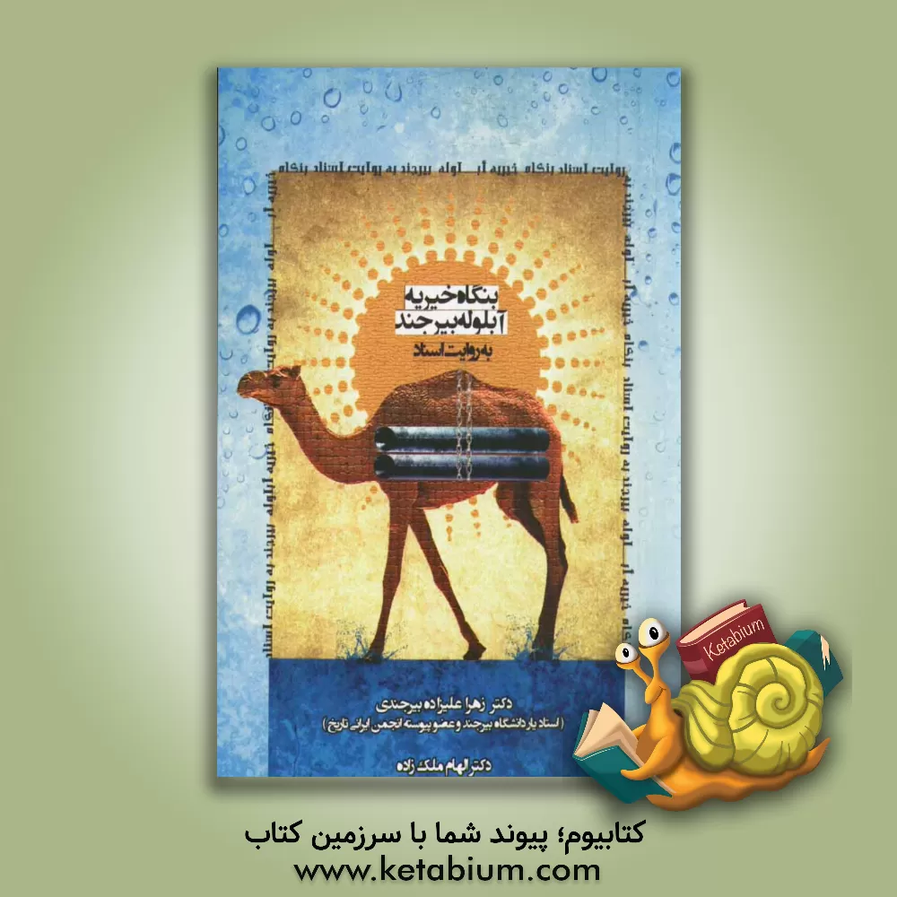 کتاب بنگاه خیریه آبلوله بیرجند به روایت اسناد اثر الهام ملک‌زاده