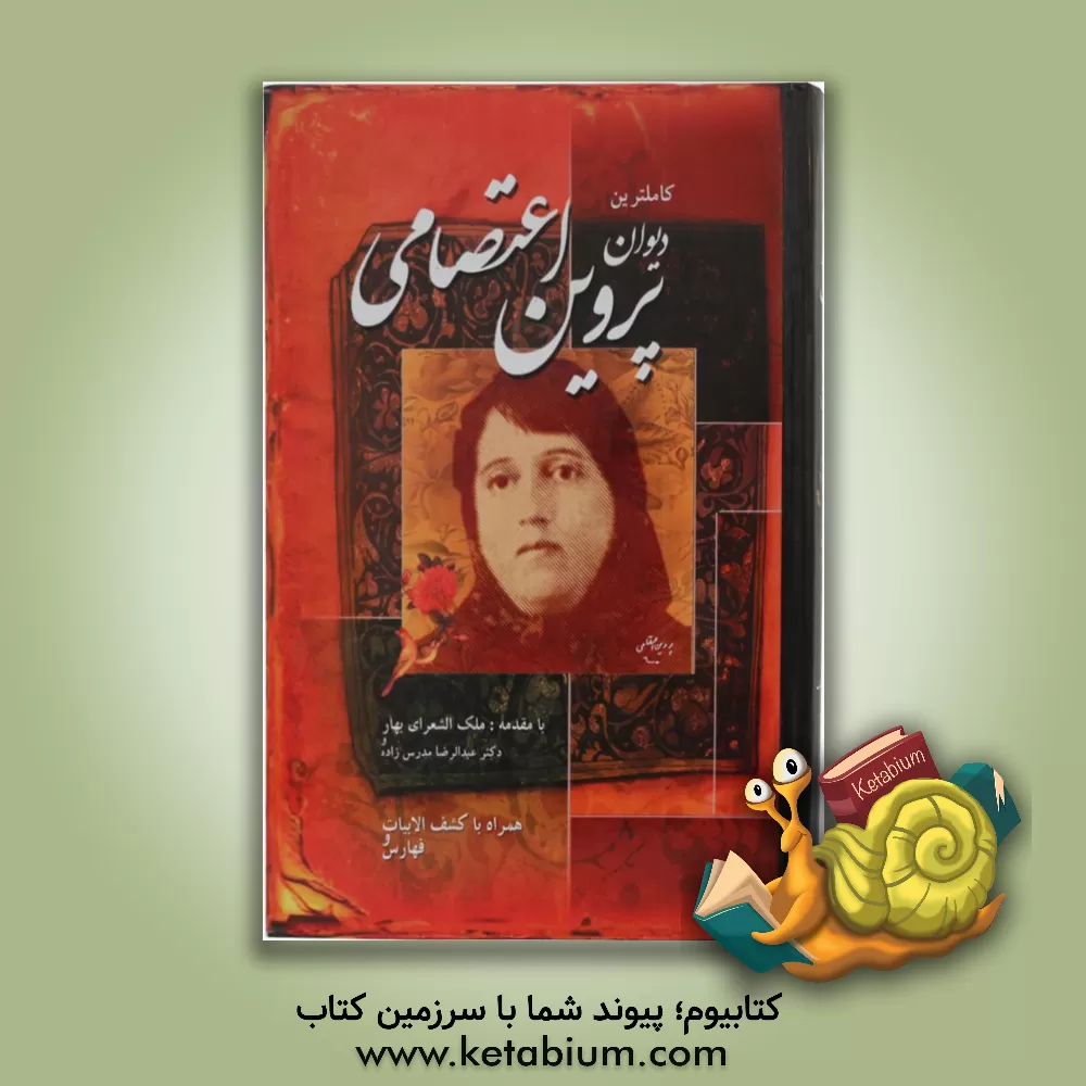 کتاب دیوان اشعار ایرج میرزا اثر ایرج‌میرزا