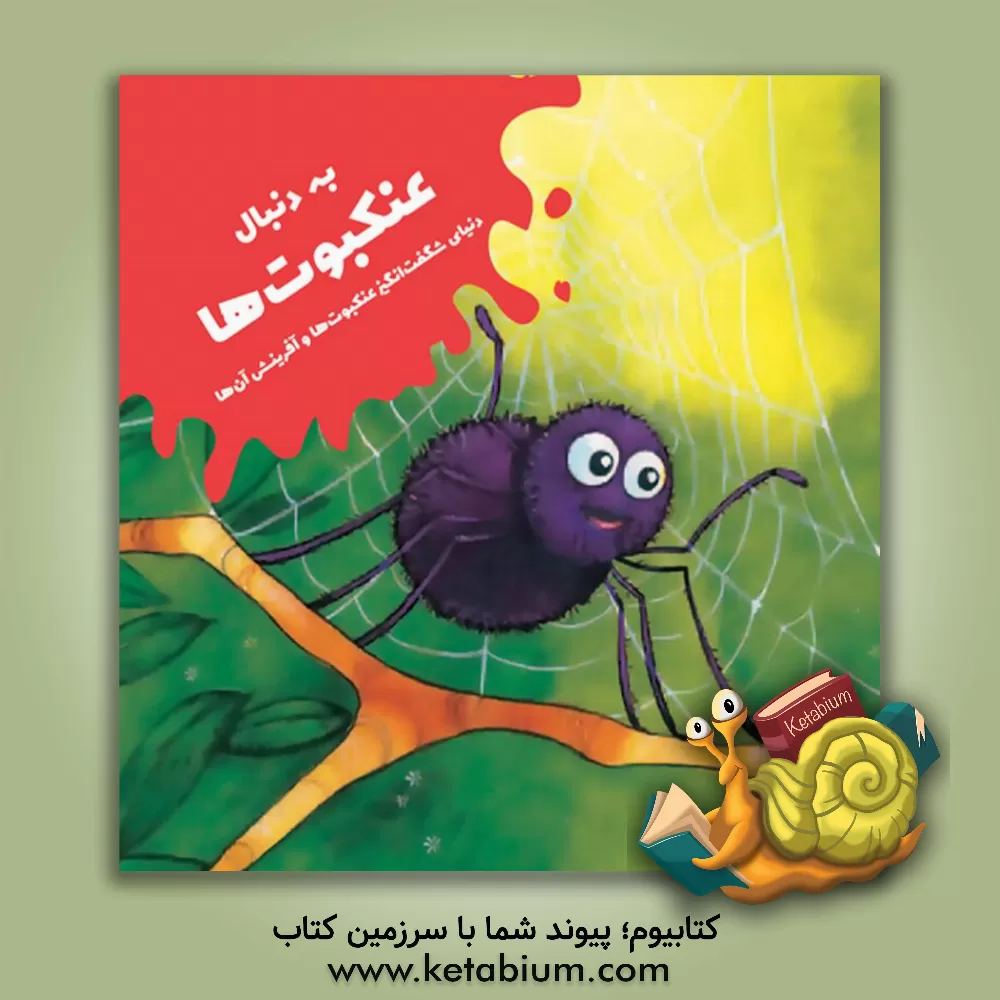 کتاب به دنبال عنکبوت ها اثر الخاندرو آلگارا