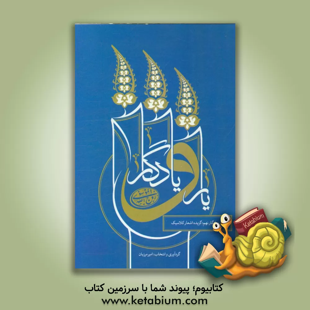 کتاب یار و یادگار (9): اشعار برگزیده ی نهمین دوره جشنواره یار و یادگار اثر امیر مرزبان