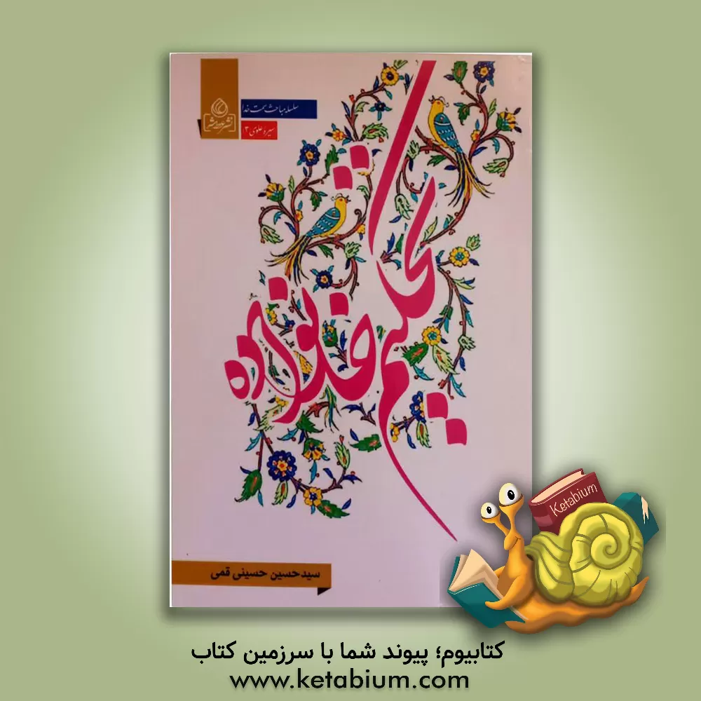 کتاب به سوی نور (دریافت هایی از اساتید اخلاق) اثر حبیب‌الله فرحزاد