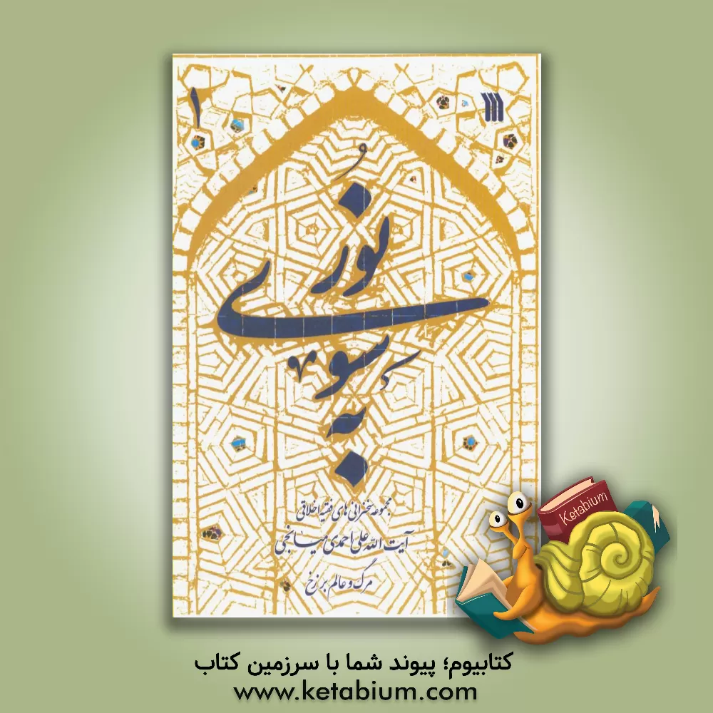 کتاب به سوی نور: مرگ و عالم برزخ: مجموعه سخنرانی های فقیه اخلاقی آیت الله علی احمدی میانجی اثر علی احمدی‌میانجی