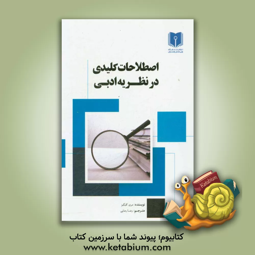 کتاب اصطلاحات کلیدی در نظریه ی ادبی |اثر مری کلبگیز