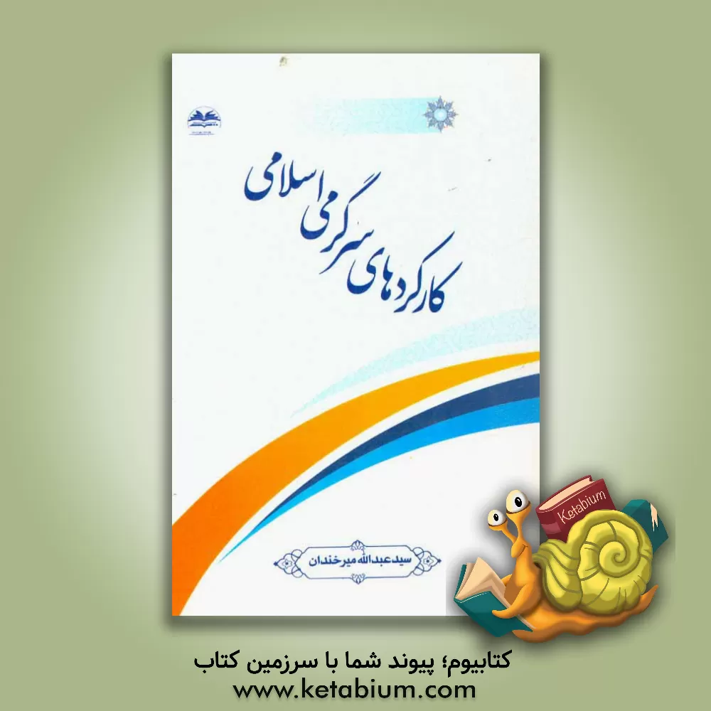 کتاب کار کردهای سرگرمی اسلامی اثر سیدعبدالله میرخندان