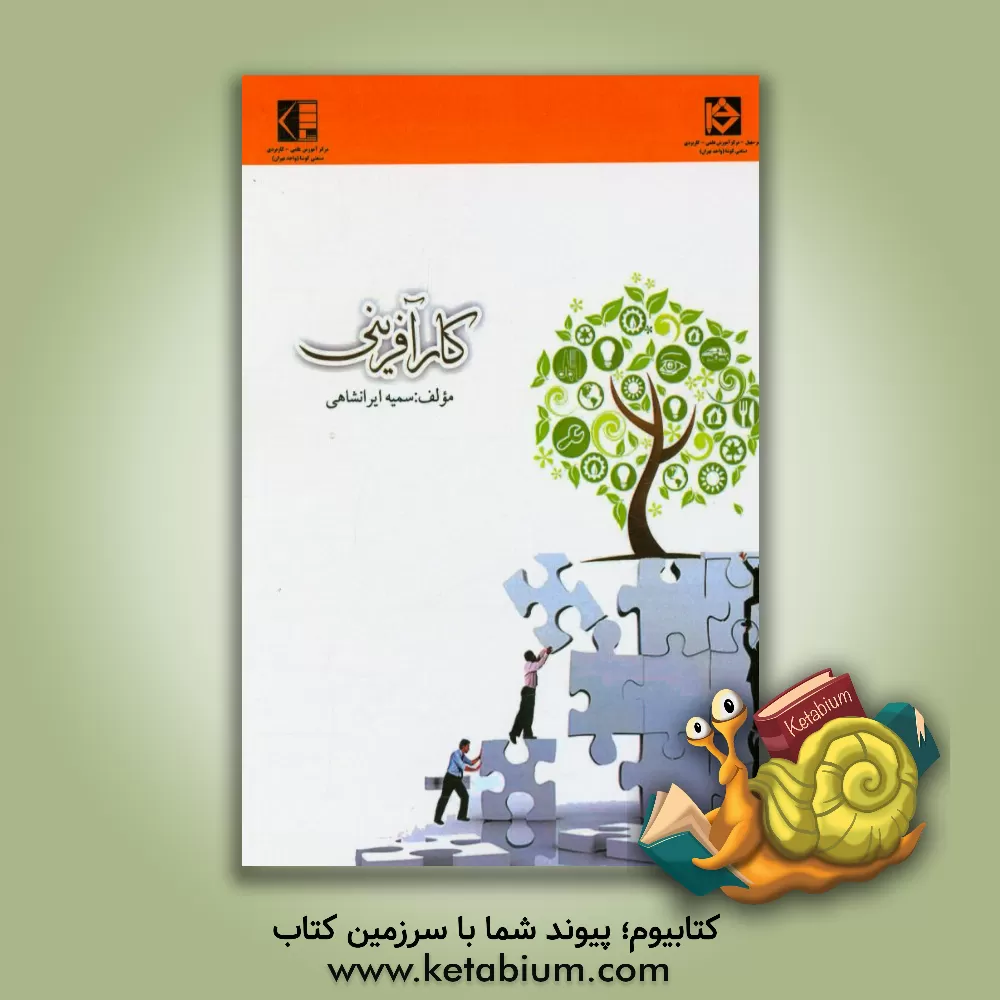 کتاب کارآفرینی اثر سمیه ایرانشاهی