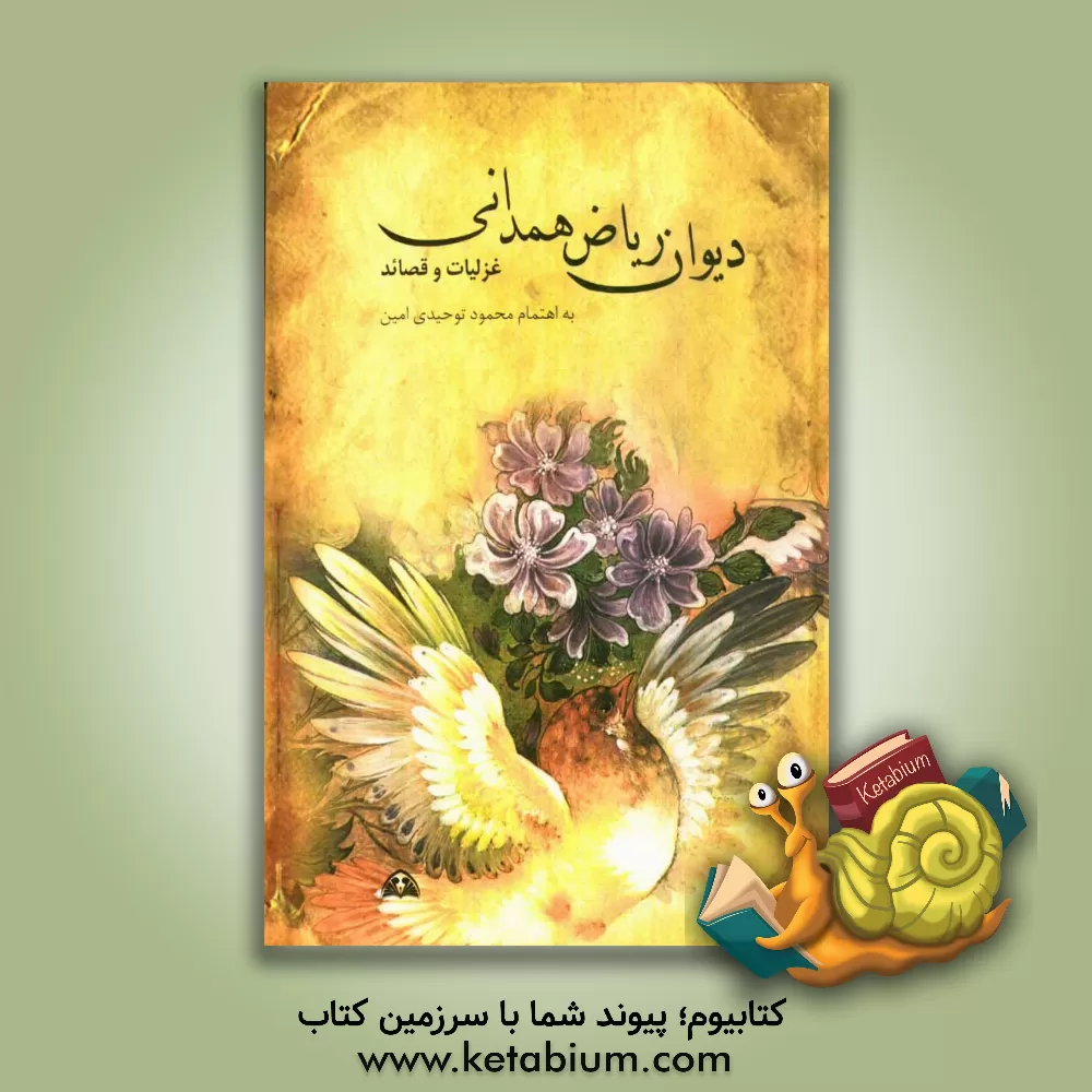 کتاب دیوان ریاضی همدانی اثر محمدجعفر ریاض‌همدانی