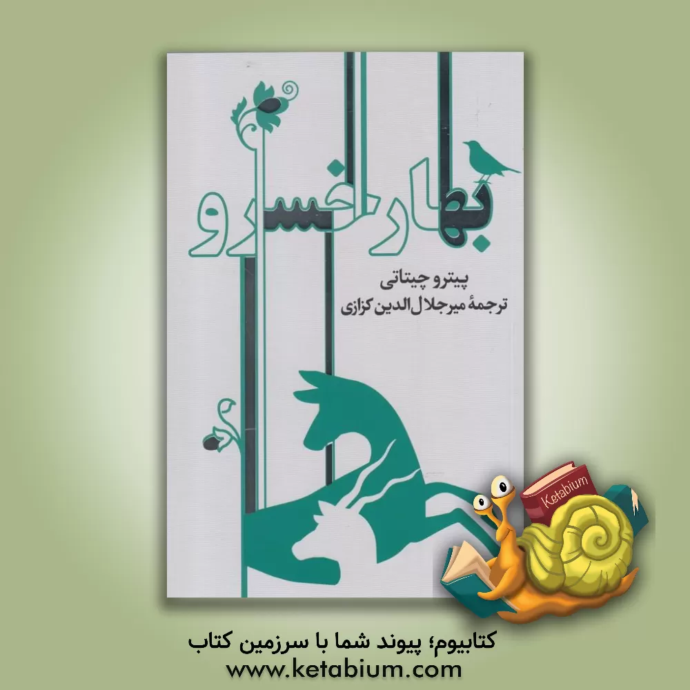 کتاب بهار خسرو: گشت و گذاری در تاریخ و فرهنگ ایران اثر پیتر چیتانی