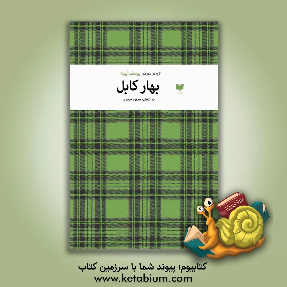 کتاب بهار کابل: گزیده ی شعرهای یوسف آیینه اثر یوسف آیینه