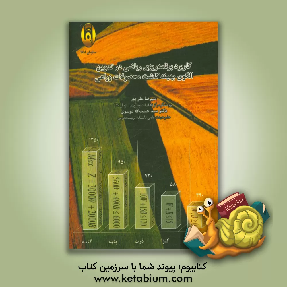 کتاب کاربرد برنامه ریزی ریاضی در تدوین الگوی بهینه کاشت محصولات زراعی اثر علیرضا علی‌پور
