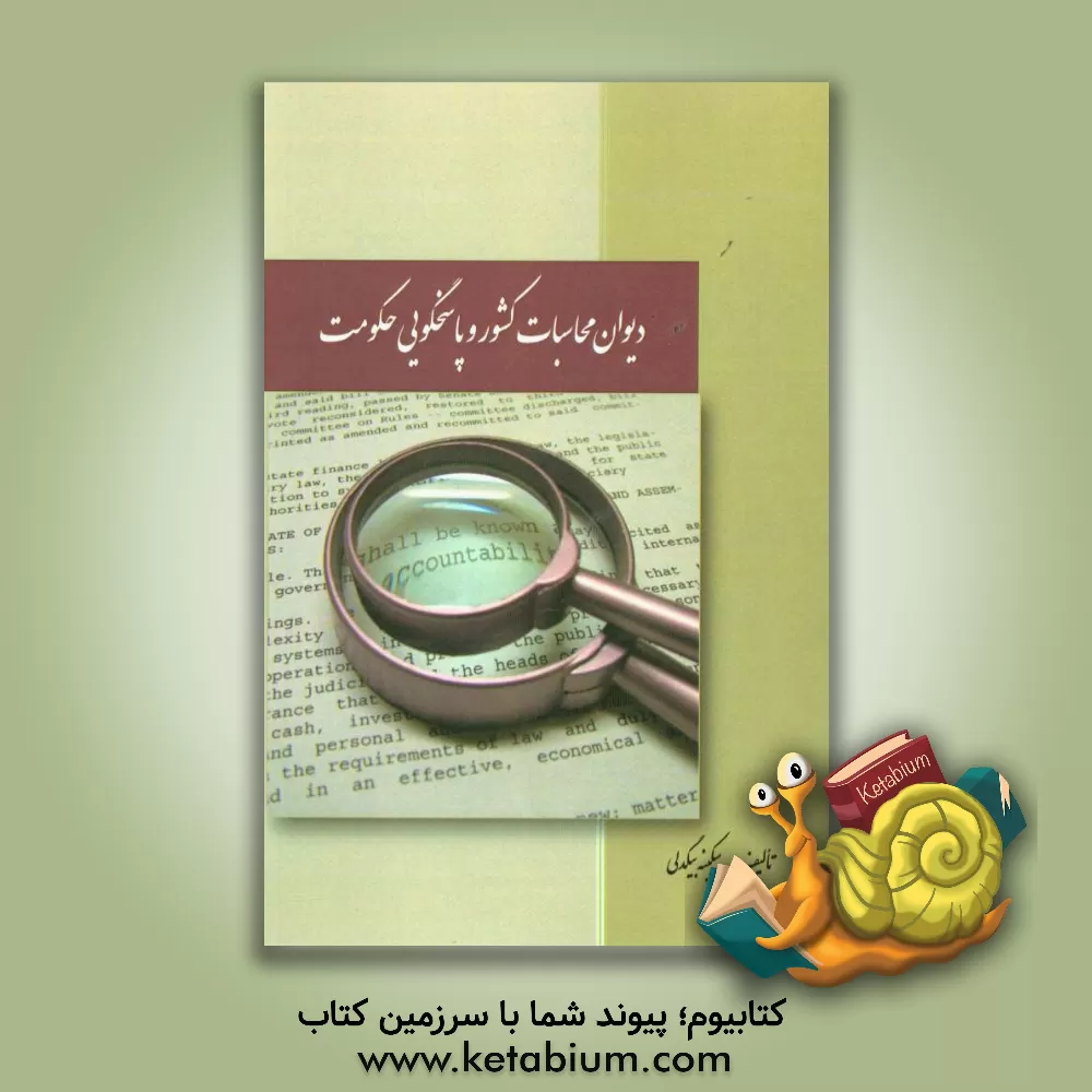 کتاب دیوان محاسبات کشور و پاسخگویی حکومت اثر سکینه بیکدلی