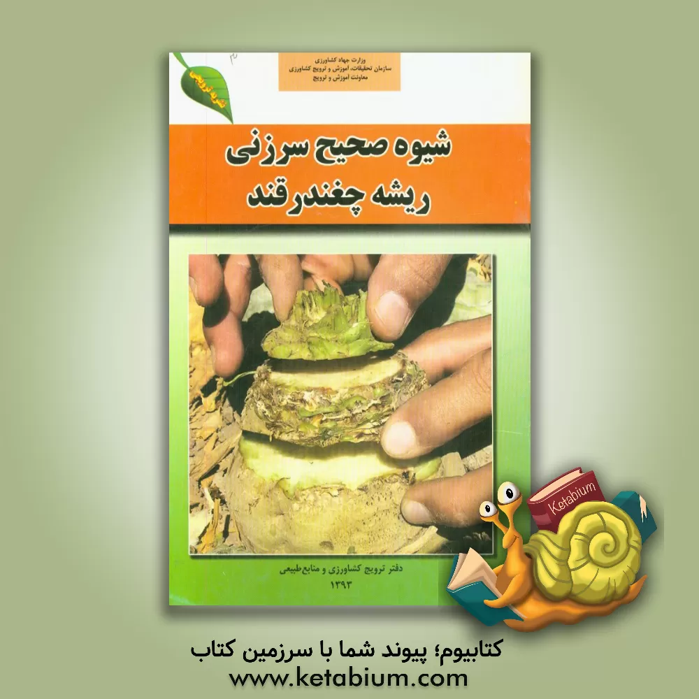 کتاب شیوه صحیح سرزنی ریشه چغندرقند اثر محمد عبداللهیان‌نوقابی