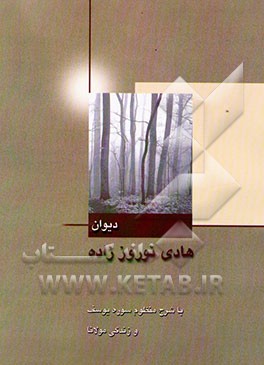 کتاب دیوان هادی نوروززاده اثر هادی نوروززاده