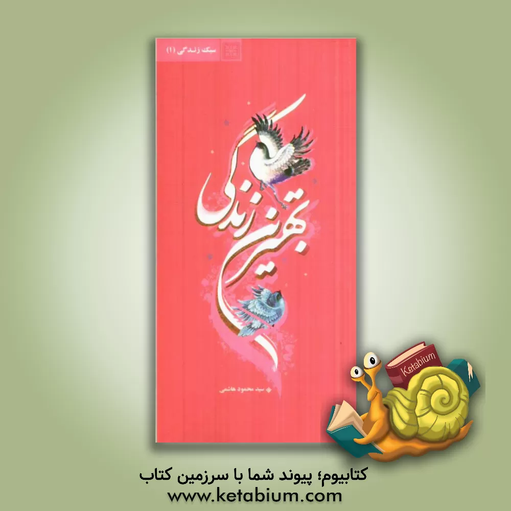 کتاب بهترین زندگی اثر سیدمحمود هاشمی