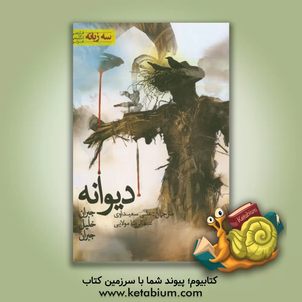 کتاب دیوانه = المجنون اثر جبران‌خلیل جبران