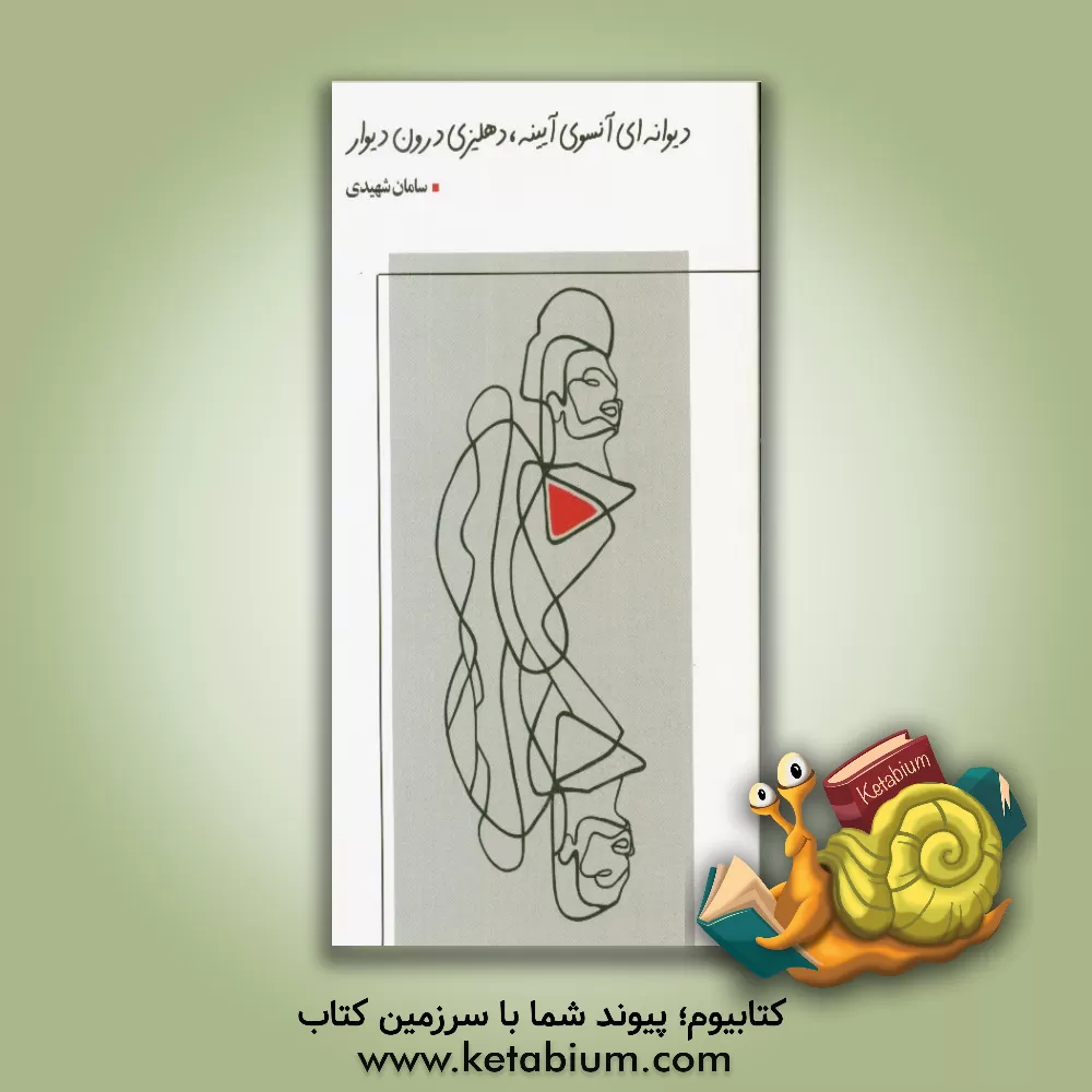 کتاب دیوانه ای آنسوی آیینه، دهلیزی درون دیوار اثر سامان شهیدی