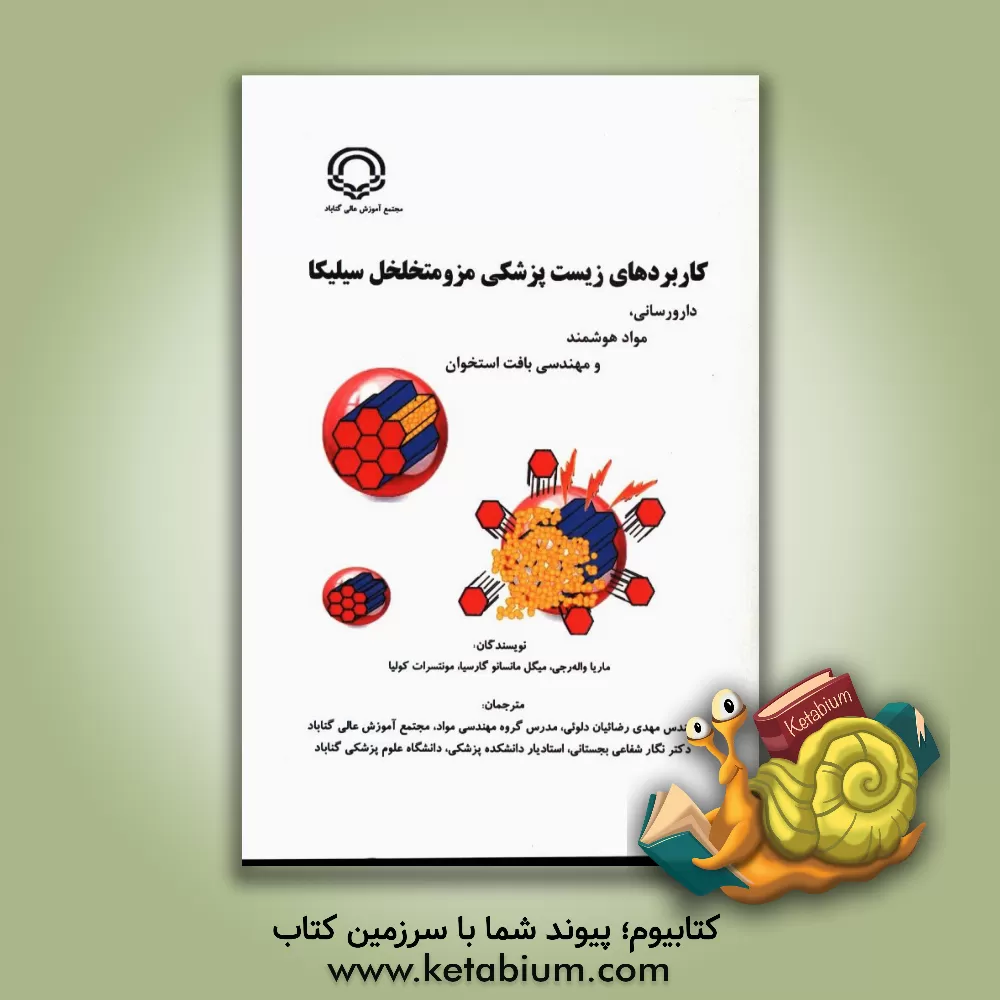 کتاب کاربردهای زیست پزشکی مزومتخلخل سیلیکا: دارورسانی، مواد هوشمند و مهندسی بافت استخوان اثر ماریا واله-رجی