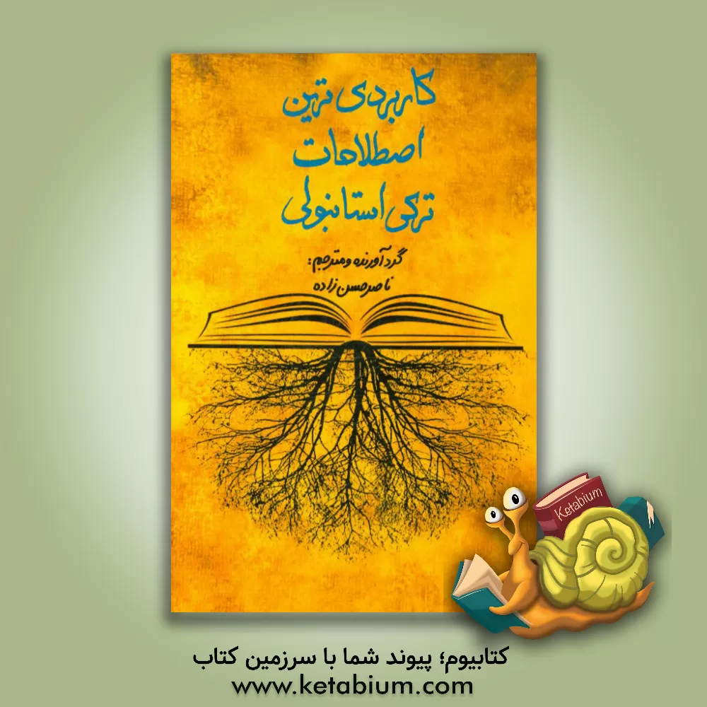 کتاب کاربردی ترین اصطلاحات ترکی استانبولی (همراه با ترجمه فارسی) اثر ناصر حسن‌زاده